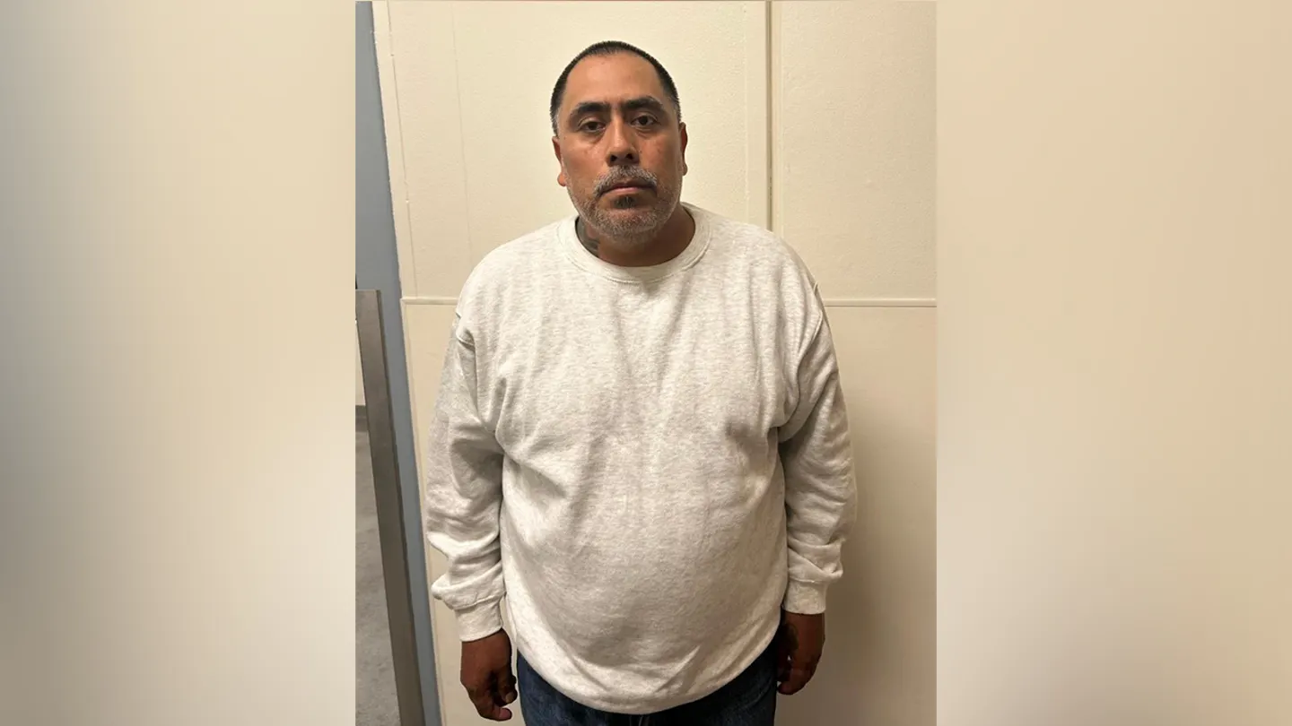 Over 300 individuals were detained in a major ICE raid at a cannabis farm in Ventura County, California — the largest of Trump’s second term