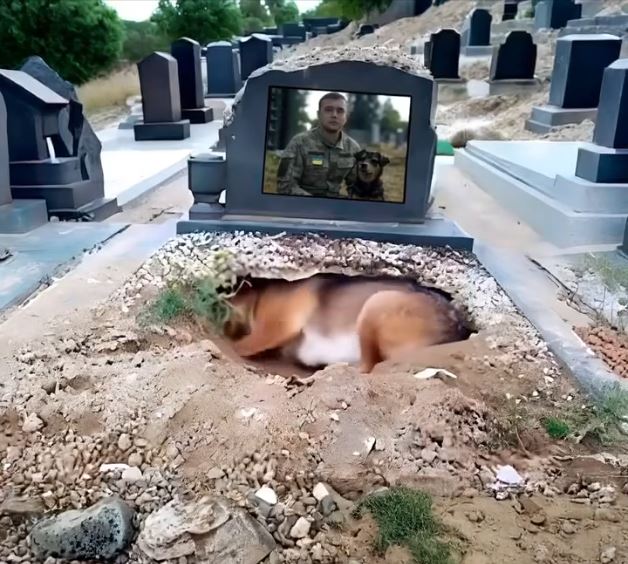 “Unbreakable Loyalty: A Dog’s Love for His Master That Endured Even After Death”