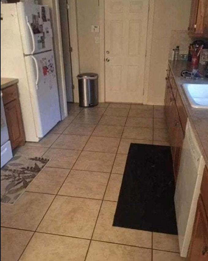 Can You Spot the Dog Hidden in This Kitchen?