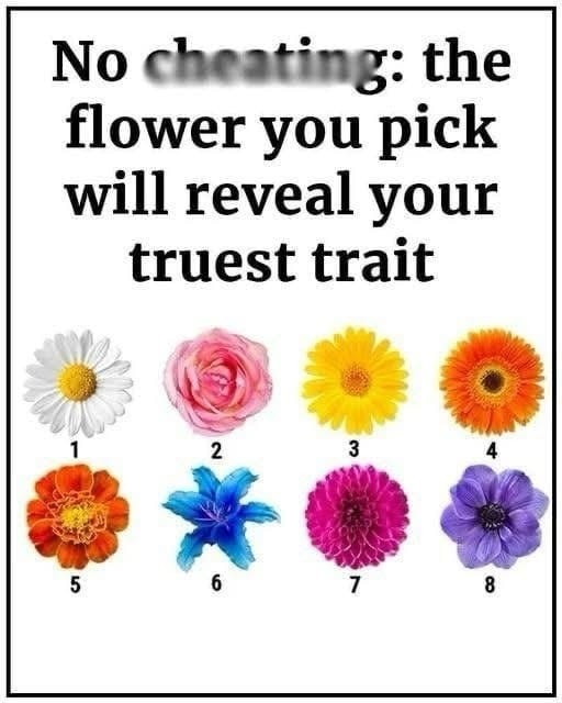 The flowers you love the most uncover hidden aspects of your personality!