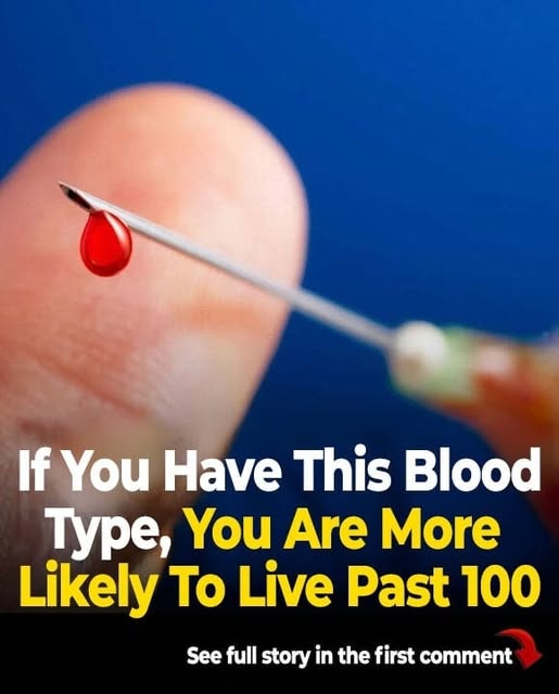 Studies Indicate That Individuals With This Blood Type Have a Higher Likelihood of Living to 100!