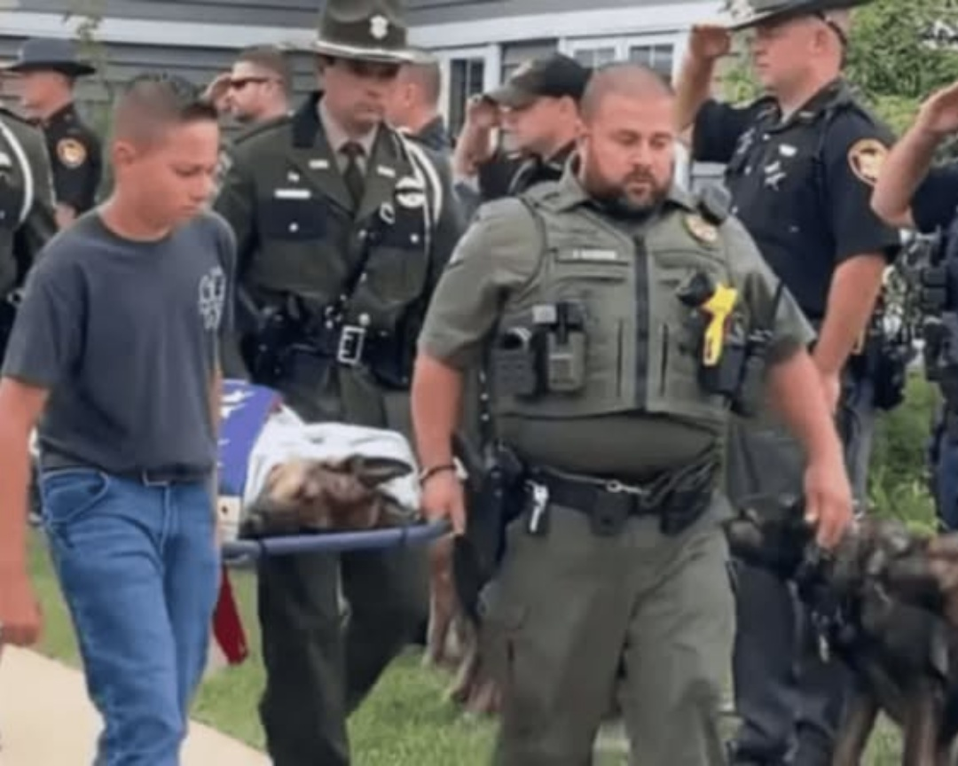 Farewell to a Hero: Honoring K9 Tommy, Ohio’s Courageous Canine Partner570