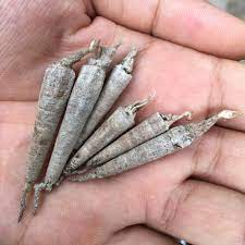 If You Remember This, Your Childhood Was Different