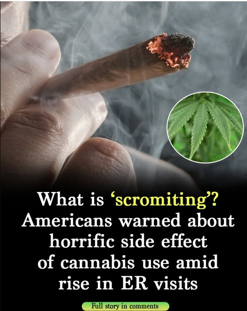 Scromiting: The Terrifying Cannabis Side Effect U.S. Citizens Need to Know About