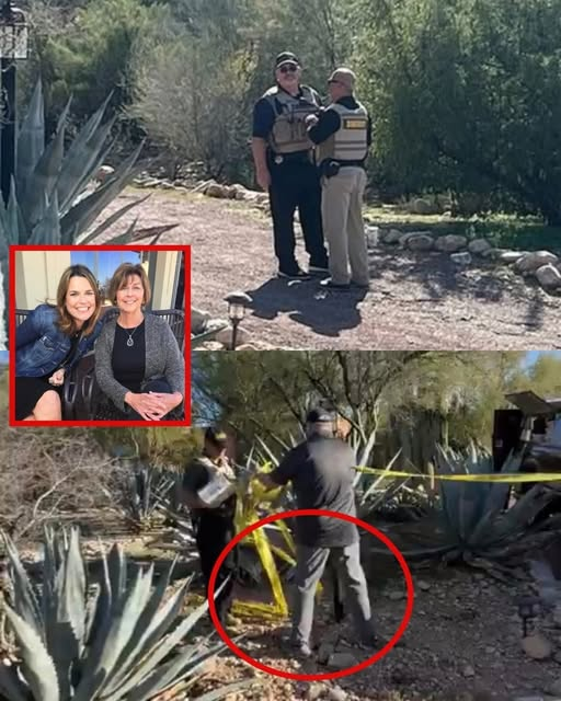 UNSENT MESSAGE – Police have found a seven-word message on Savannah Guthrie mother phone