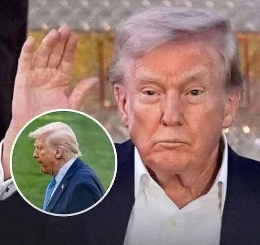 Medical Professional Offers Insights Into Donald Trump’s Health After New Photos