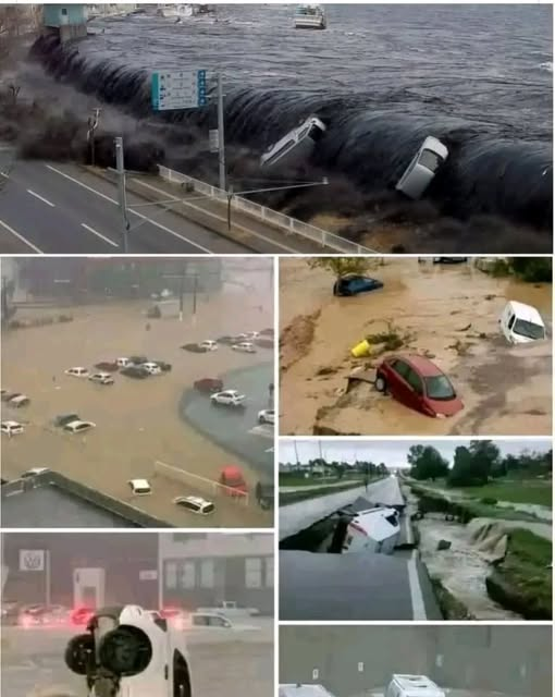 Disaster Preparedness, Earthquake Safety & Emergency Response