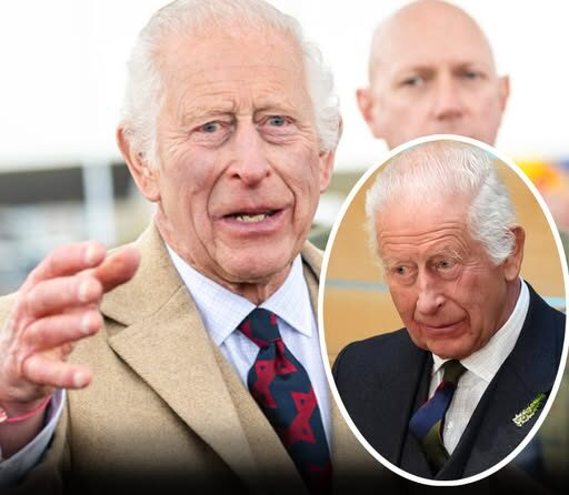 Royal Update: King Charles Withdraws Nine Honorary Titles