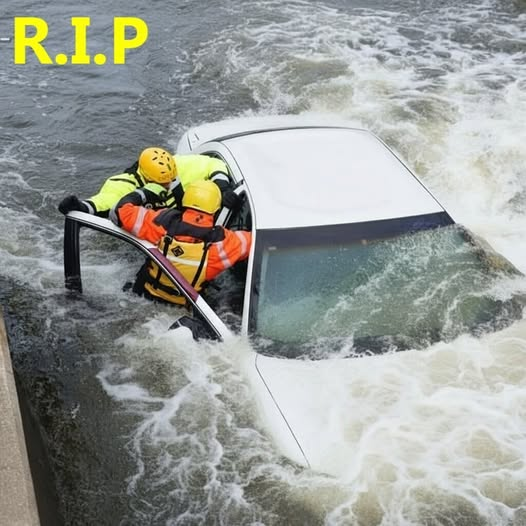 Search Results for: Father, mother and son are found …