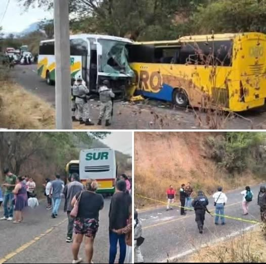 Search Results for: Tragic accident leaves 23 dead… See more