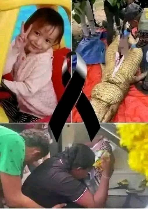 Search Results for: Missing girl found inside a…See more