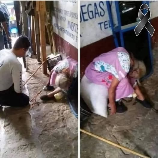 Search Results for: An 85-year-old woman died at the entrance of the market where she sold her wares…See more