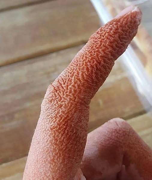 These are the signs that he is cr… See more