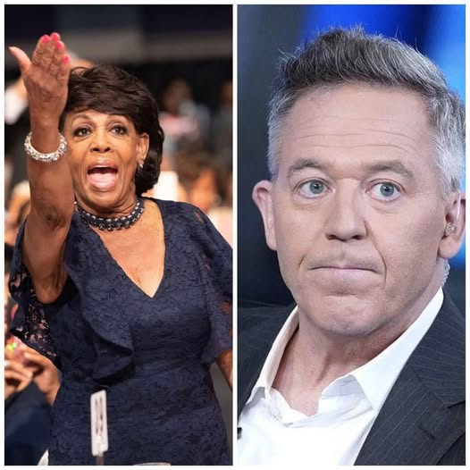 Maxine Waters Sparks Uproar After “Little Boy” Jab at Greg Gutfeld — His Calm, Devastating Reply Leaves Audience Stunned and Nation Replaying the Moment