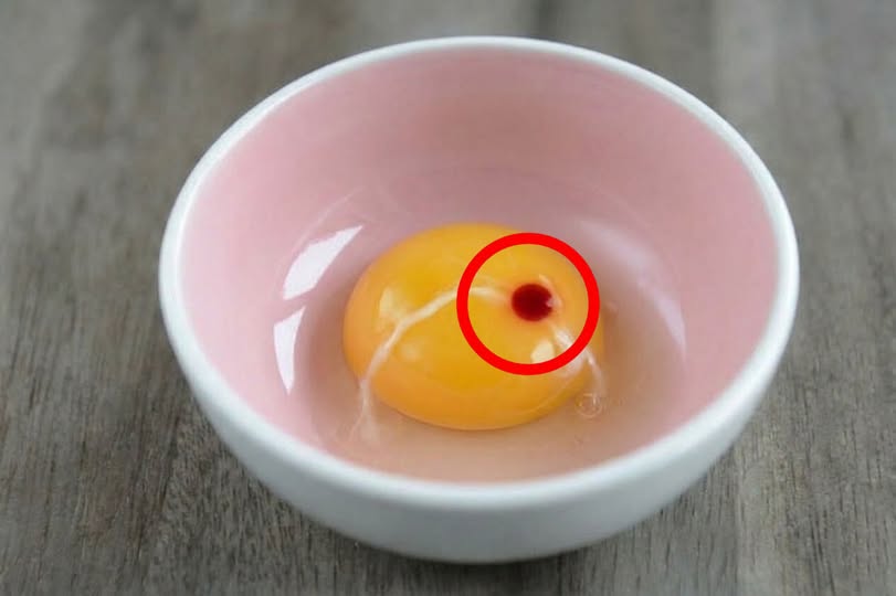 I found red spots in my eggs — Are they safe to eat or should i throw them away?