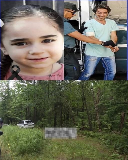 Missing girl found in the woods, her father was the one who…See more