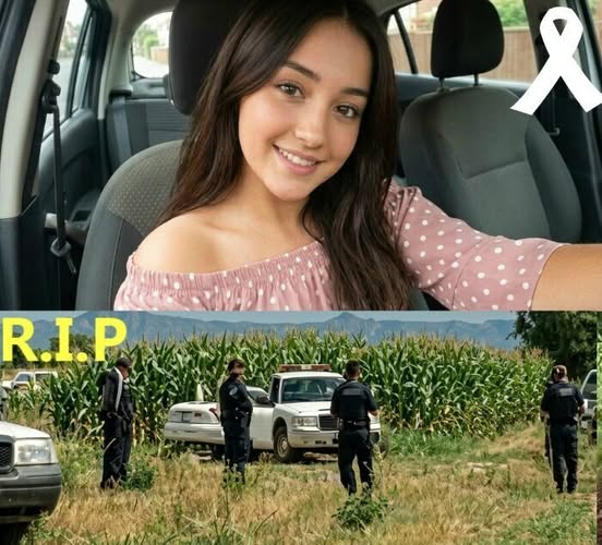 This woman was found a without a cab…