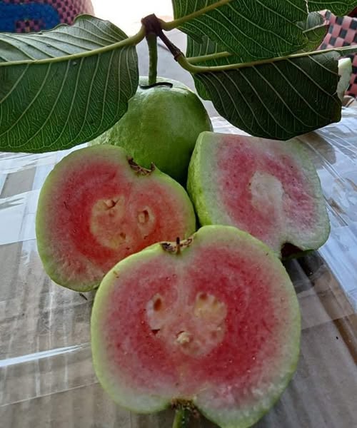 Why More Health Experts Are Paying Attention to Guava for Blood Sugar Support