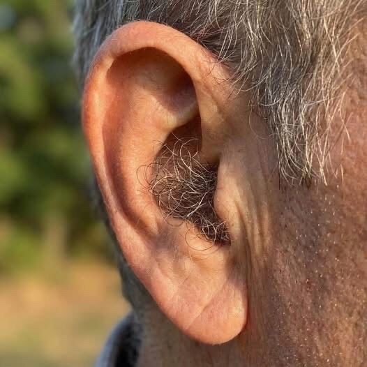 DID YOU KNOW? If hair grows on your ears, it’s because your body is…