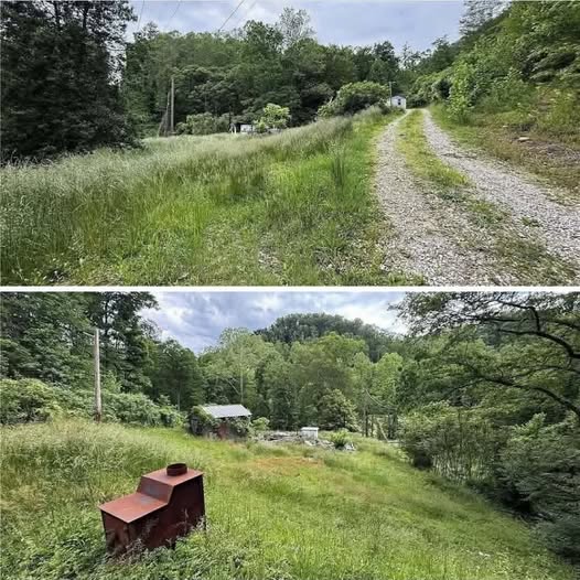 No Neighbors, No Noise! 38 acres of country living
